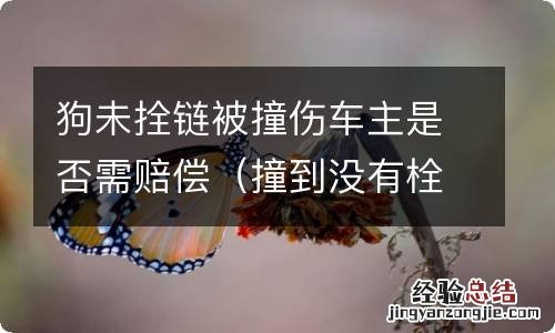 撞到没有栓绳的狗汽车损坏找谁赔 狗未拴链被撞伤车主是否需赔偿