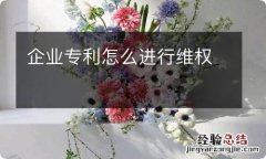 企业专利怎么进行维权