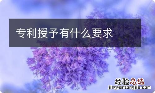 专利授予有什么要求
