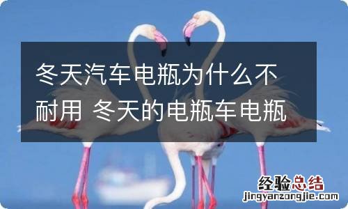 冬天汽车电瓶为什么不耐用 冬天的电瓶车电瓶为什么不耐用