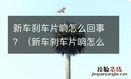 新车刹车片响怎么回事视频 新车刹车片响怎么回事？