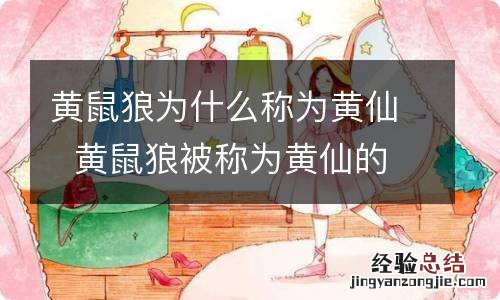 黄鼠狼为什么称为黄仙黄鼠狼被称为黄仙的原因是什么