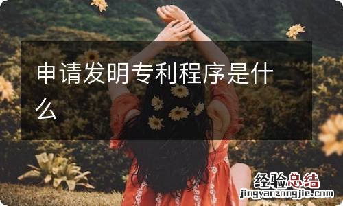 申请发明专利程序是什么