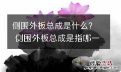 侧围外板总成是什么？ 侧围外板总成是指哪一块