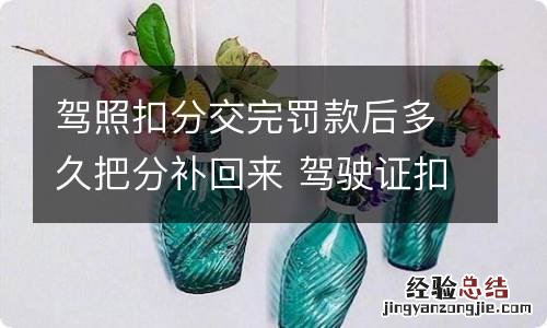 驾照扣分交完罚款后多久把分补回来 驾驶证扣分交完罚款分会恢复吗