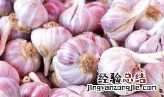 野蒜怎么吃功效最好 摘蒜的正确方法