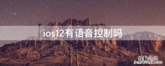 iphone12语音控制有什么用 ios12有语音控制吗