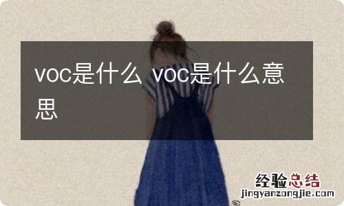 voc是什么 voc是什么意思