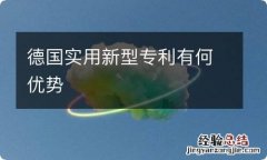 德国实用新型专利有何优势