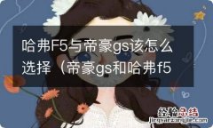 帝豪gs和哈弗f5哪个好 哈弗F5与帝豪gs该怎么选择