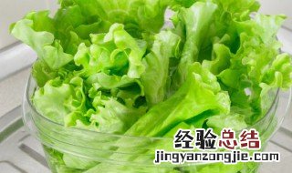 生菜籽怎么种 生菜籽怎么种植方法家里