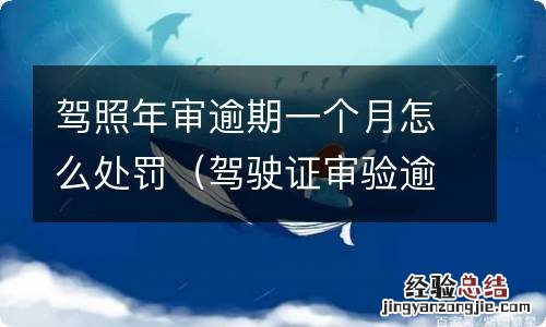 驾驶证审验逾期一个月怎么处罚 驾照年审逾期一个月怎么处罚