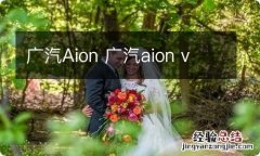 广汽Aion 广汽aion v