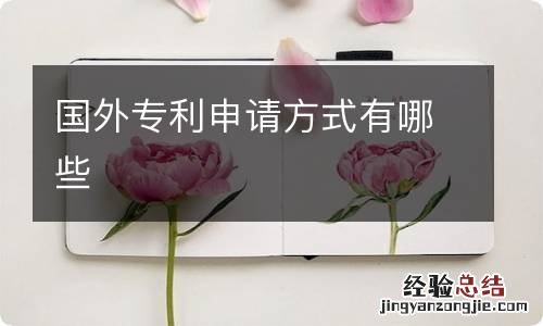 国外专利申请方式有哪些