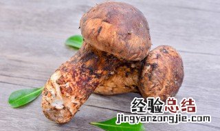 新鲜松茸在冰箱能存放多久时间 新鲜松茸在冰箱能存放多久