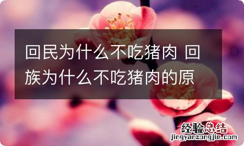回民为什么不吃猪肉 回族为什么不吃猪肉的原因