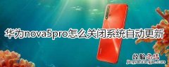 华为nova5pro怎么关闭系统自动更新