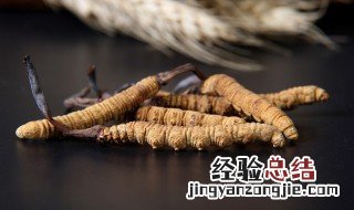 新鲜冬虫夏草怎么挑选 新鲜冬虫夏草什么样子