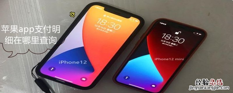 iPhoneapp支付明细在哪里查询