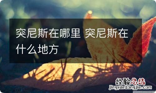 突尼斯在哪里 突尼斯在什么地方
