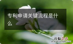 专利申请关键流程是什么