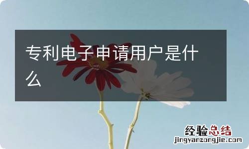 专利电子申请用户是什么