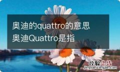 奥迪的quattro的意思 奥迪Quattro是指