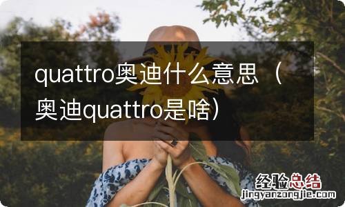 奥迪quattro是啥 quattro奥迪什么意思