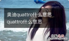 奥迪quattro什么意思 quattro什么意思