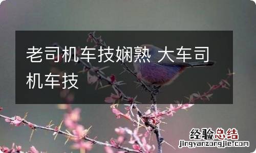 老司机车技娴熟 大车司机车技
