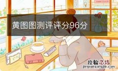 黄图图测评评分96分