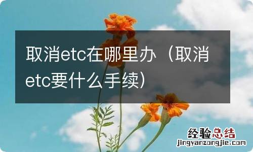 取消etc要什么手续 取消etc在哪里办