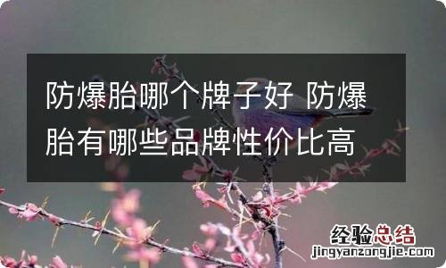 防爆胎哪个牌子好 防爆胎有哪些品牌性价比高