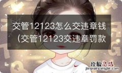 交管12123交违章罚款怎么交 交管12123怎么交违章钱