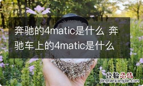 奔驰的4matic是什么 奔驰车上的4matic是什么意思