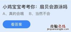 蚂蚁庄园今天最新答案4月22日：扇贝会游泳吗？