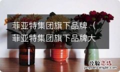 菲亚特集团旗下品牌大全 菲亚特集团旗下品牌