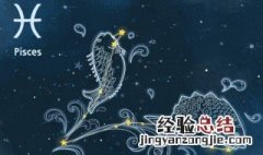 2月28日什么星座 82年2月28日什么星座