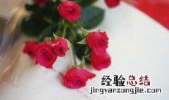 12朵玫瑰花的意义是什么 12朵玫瑰花的花语是什么