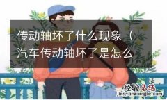 汽车传动轴坏了是怎么造成的 传动轴坏了什么现象