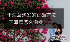 干海茸泡发的正确方法 干海茸怎么泡发