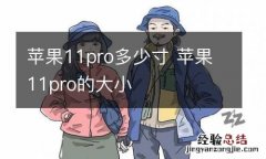 苹果11pro多少寸 苹果11pro的大小