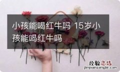 小孩能喝红牛吗 15岁小孩能喝红牛吗