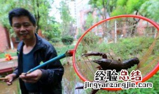 用网捕小龙虾的方法 需要准备什么材料