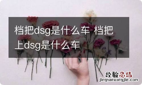 档把dsg是什么车 档把上dsg是什么车