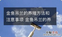 金鱼吊兰的养殖方法和注意事项 金鱼吊兰的养殖方法和注意事项有哪些