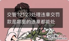 交管12123处理违章交罚款是哪里的违章都能处理吗