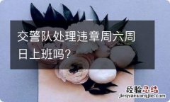 交警队处理违章周六周日上班吗?