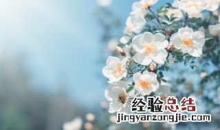 梦见春游是什么意思解梦 梦见春游是什么意思