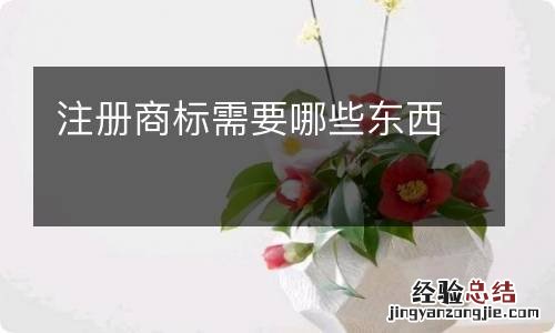 注册商标需要哪些东西